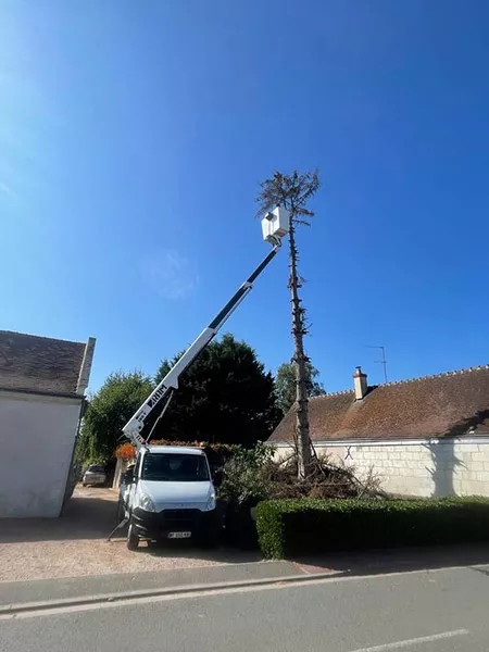 Intervention rapide pour enlever un arbre qui menace de tomber sur la toiture d'une maison ancienne, Angoulême, Charente Élagage Pro