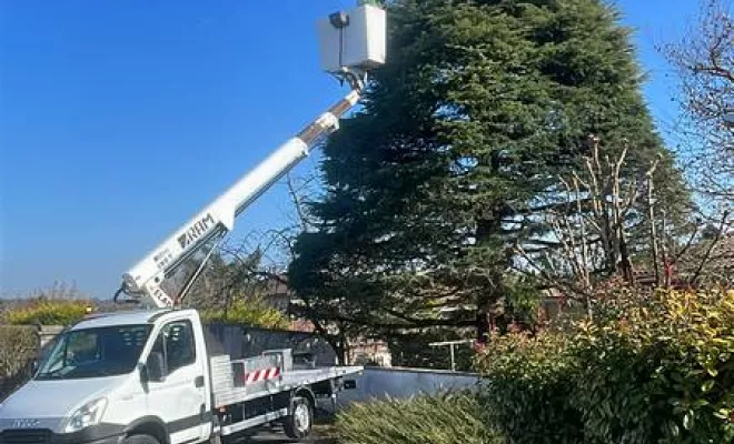 Travaux d'élagage, Angoulême, Charente Élagage Pro