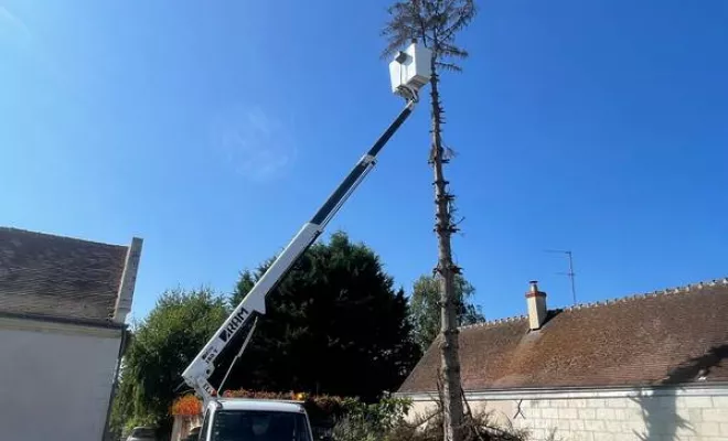 Travaux d'élagage, Angoulême, Charente Élagage Pro